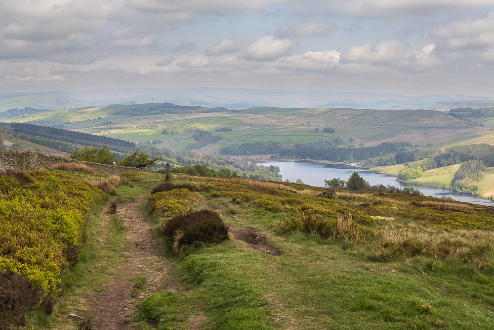 Ladder Hill